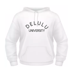 Delulu university hoodie